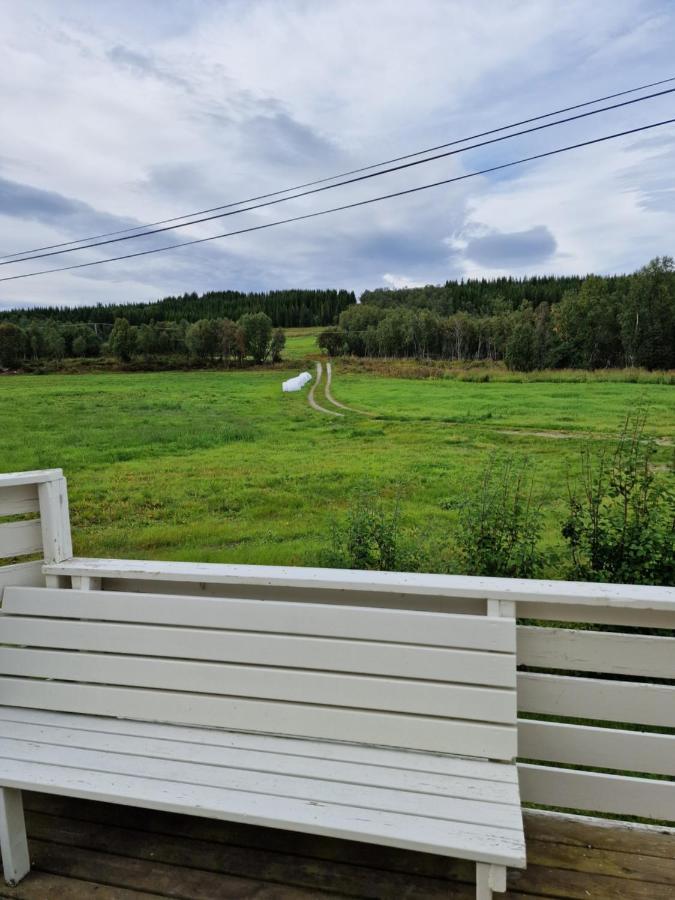 Kvaloya Warm And Cozy Cottage, Great Location المظهر الخارجي الصورة