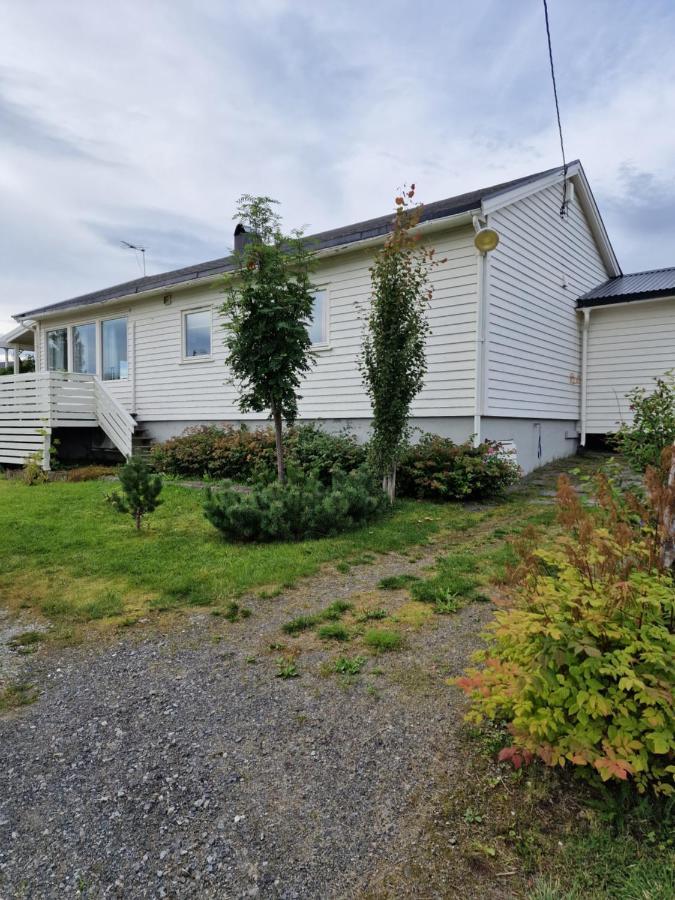 Kvaloya Warm And Cozy Cottage, Great Location المظهر الخارجي الصورة