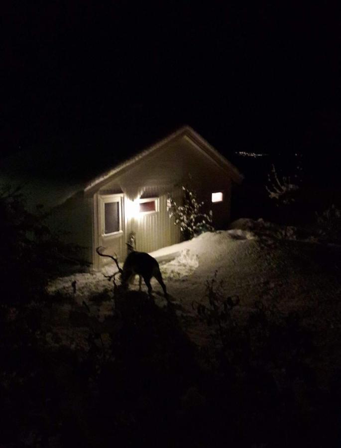 Kvaloya Warm And Cozy Cottage, Great Location المظهر الخارجي الصورة